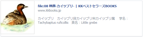 131025kk_best1.gif 131025kk_best1.gif