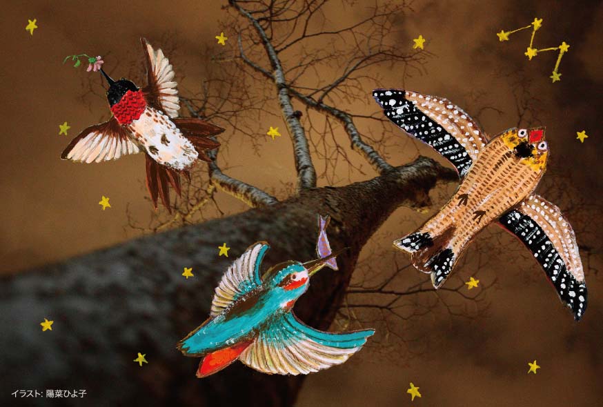 kenji2013_omote.jpg kenji2013_omote.jpg