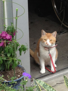 130531IMG_8334.jpg 130531IMG_8334.jpg