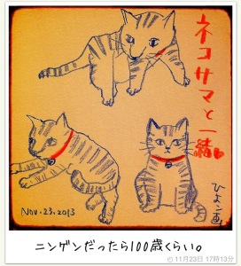 131031image.jpeg 131031image.jpeg