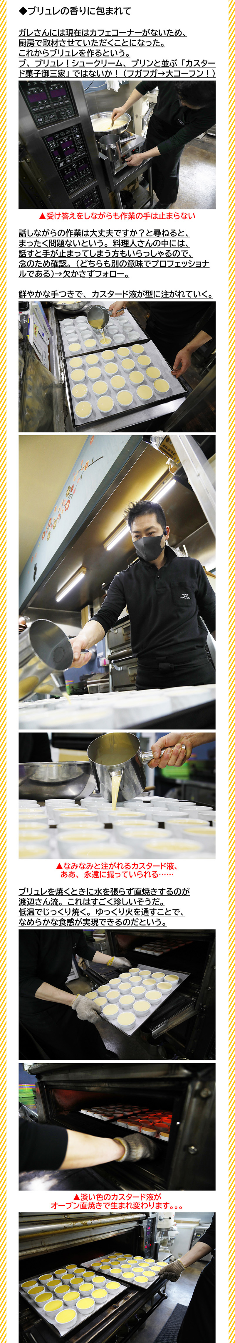 240404_Galle de watanabe1-02s.jpg