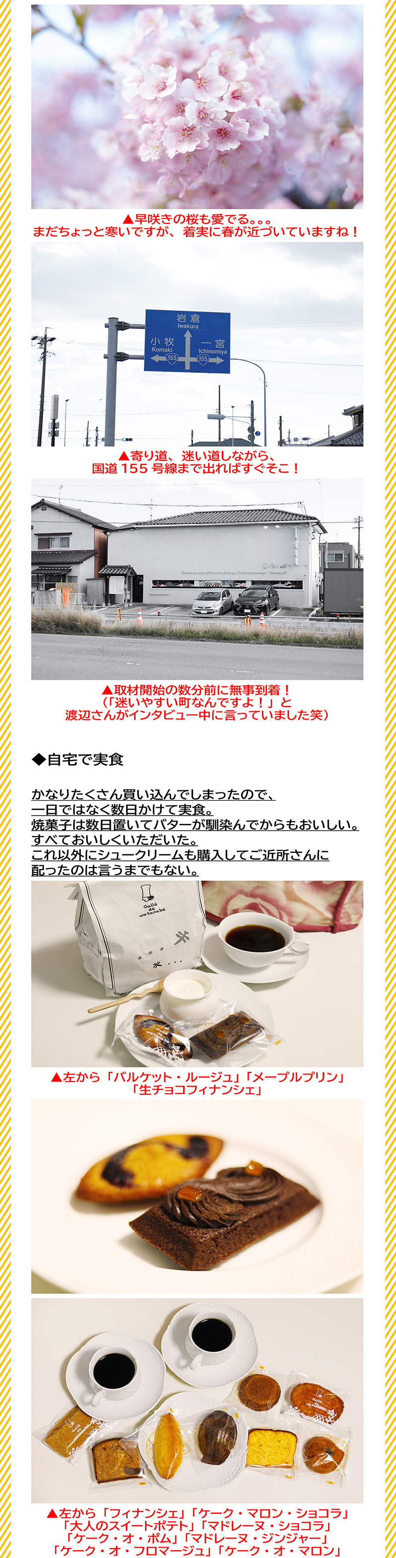 240417_Galle de watanabe3-05s.jpg