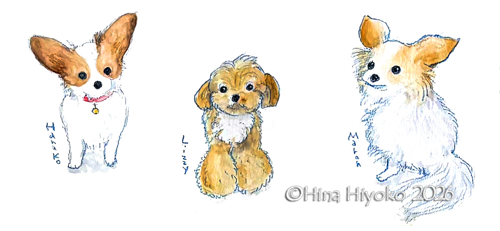 260108_IMG_E1530_web.jpg 260108_IMG_E1530_web.jpg