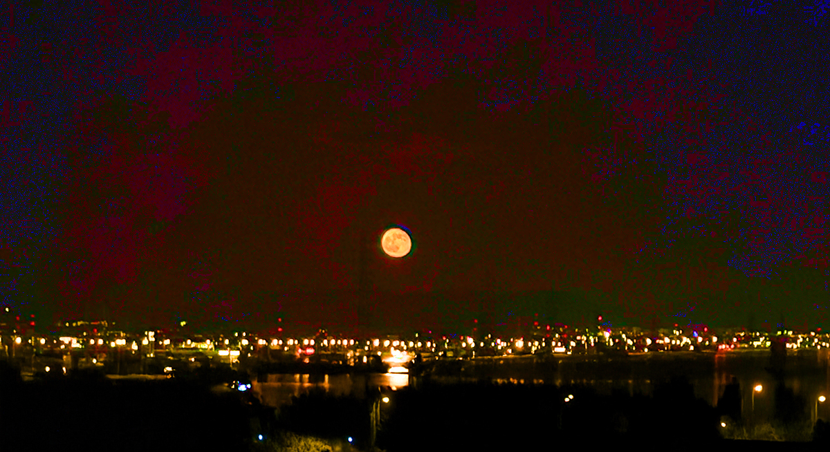 251107_IMG_E8999.jpg 251107_IMG_E8999.jpg