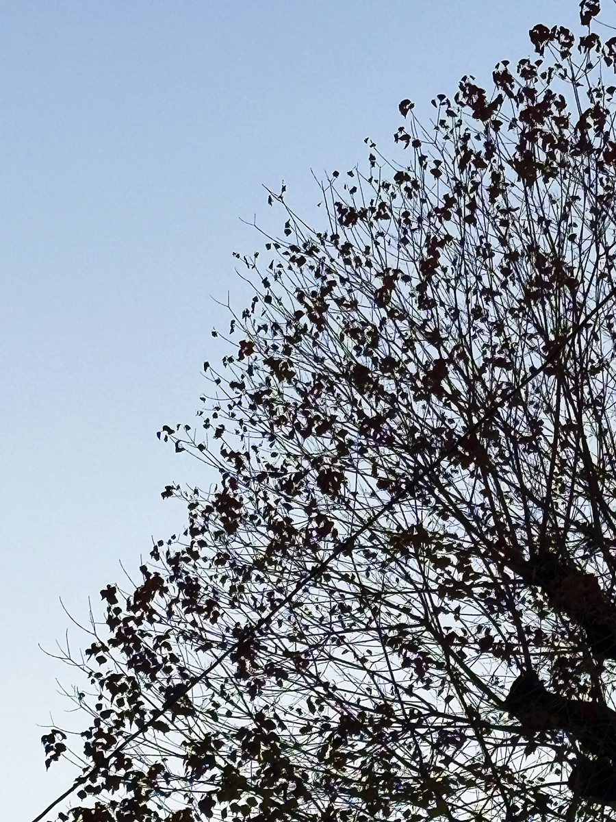 251125_IMG_9379.jpg 251125_IMG_9379.jpg