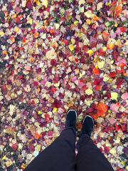 251125_IMG_9375.jpg 251125_IMG_9375.jpg