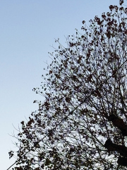 251125_IMG_9379.jpg 251125_IMG_9379.jpg