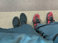 241106_IMG_1995.jpg 241106_IMG_1995.jpg