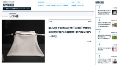 241208- APPROACH-22-lanking.jpg