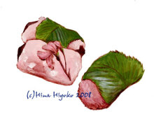 080430sakuramochi_l.jpg
