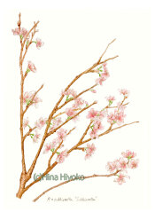 F1-aXGDaMAMzNFo.jpg F1-aXGDaMAMzNFo.jpg