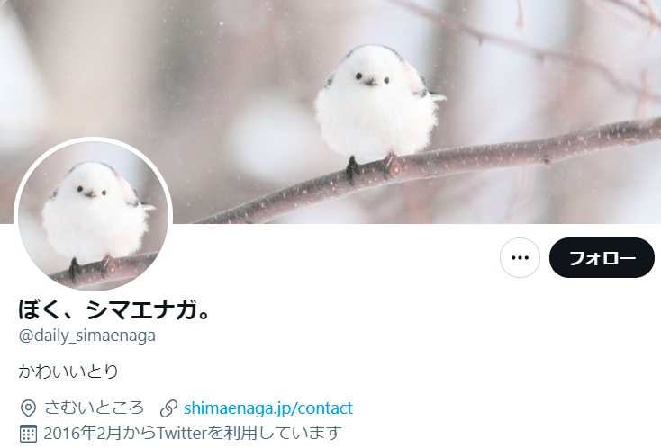 210821_shimaenaga-tenmusu00.jpg