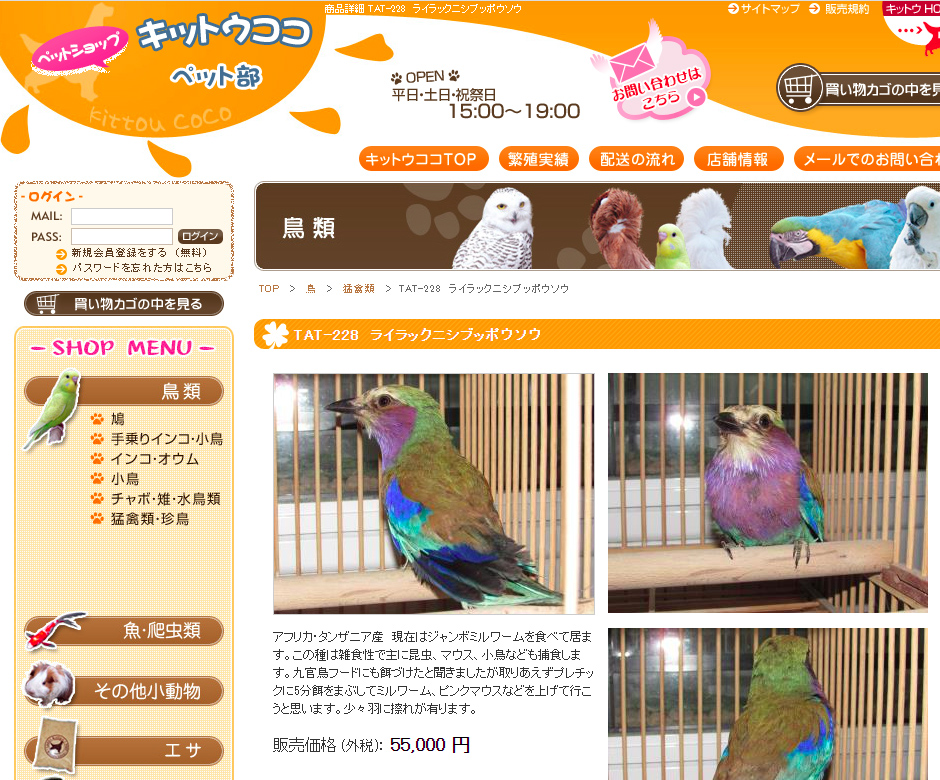 220323lilac-breasted-roller_pet-shop01.jpg