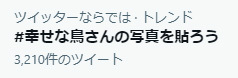 230113_twitter-trend_tori.jpg